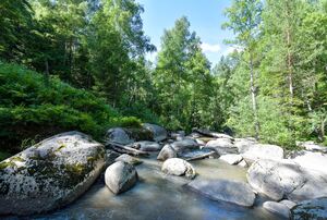 Природа Алтая